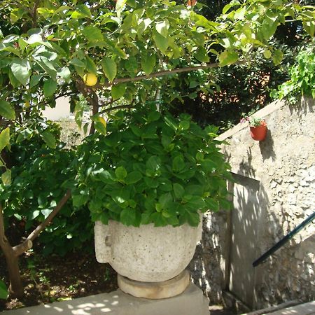 Guesthouse Manda Dubrovnik Kültér fotó