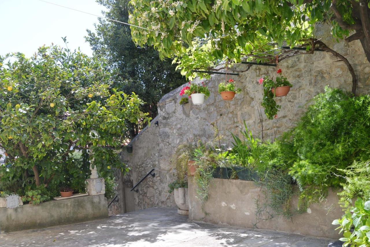 Guesthouse Manda Dubrovnik Kültér fotó