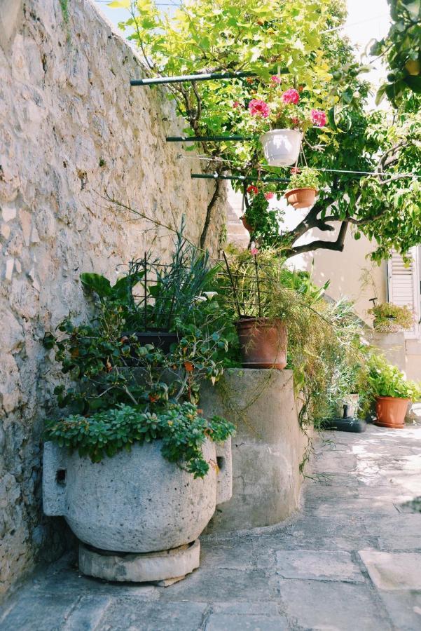 Guesthouse Manda Dubrovnik Kültér fotó