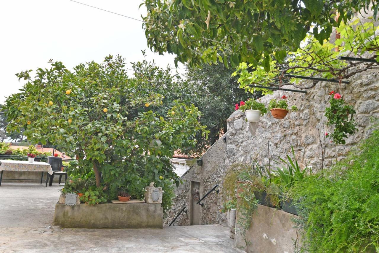 Guesthouse Manda Dubrovnik Kültér fotó