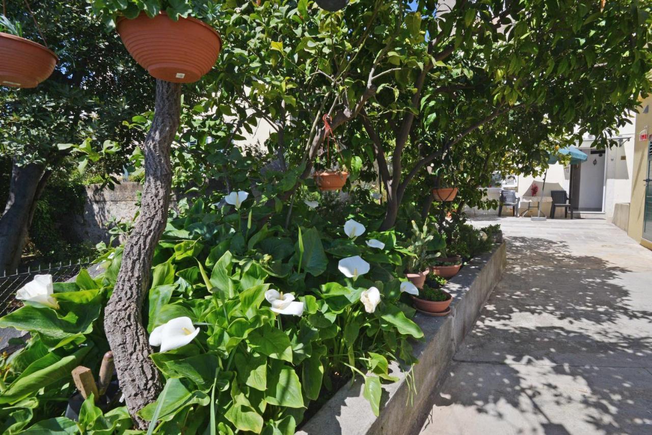 Guesthouse Manda Dubrovnik Kültér fotó