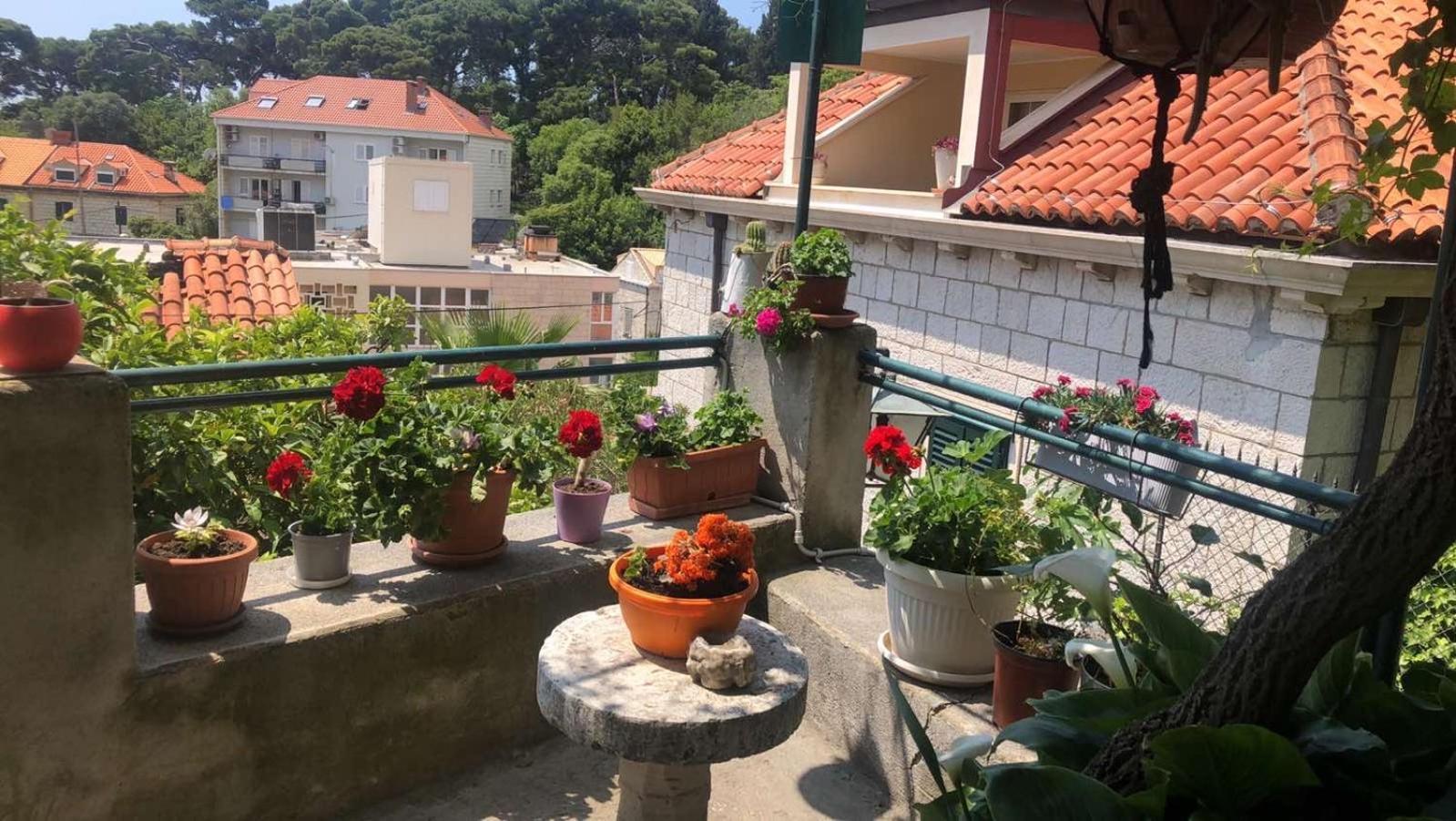Guesthouse Manda Dubrovnik Kültér fotó