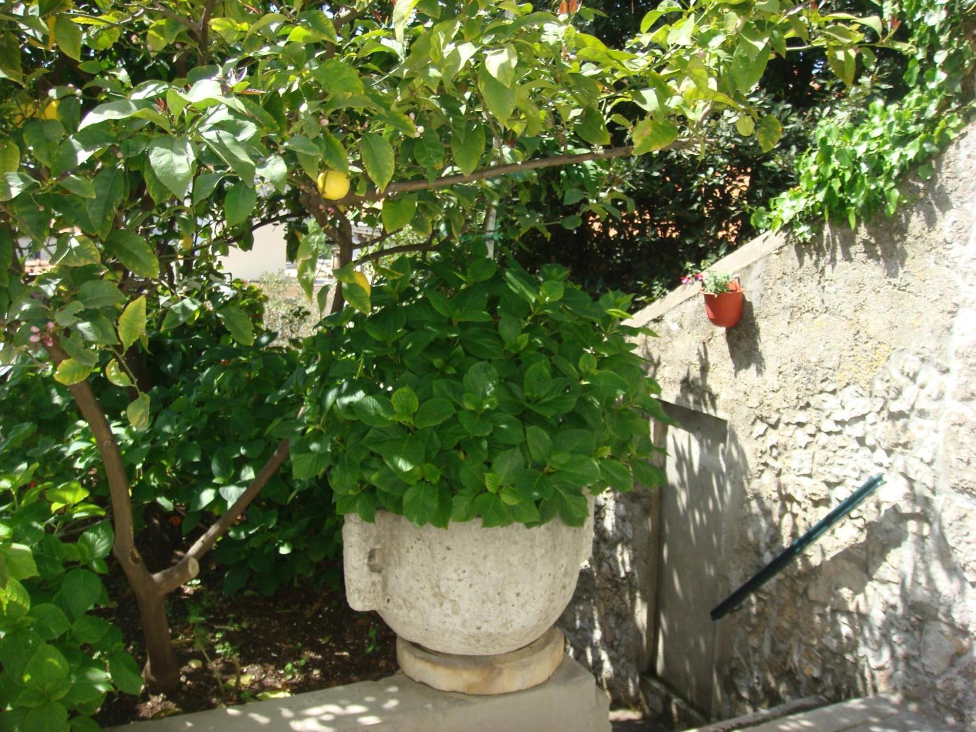 Guesthouse Manda Dubrovnik Kültér fotó